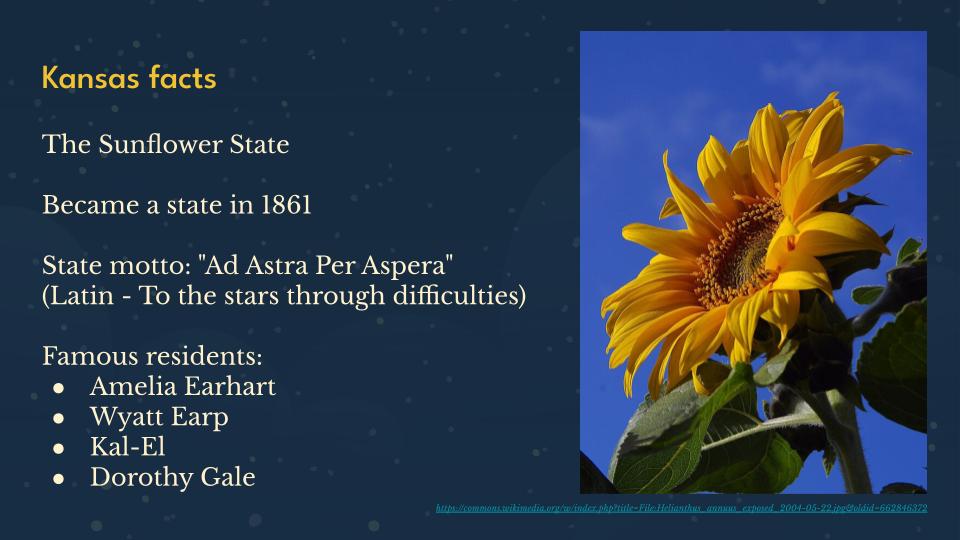 Slide 20